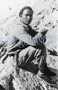 portrait-pgaussot-066-requin-rf