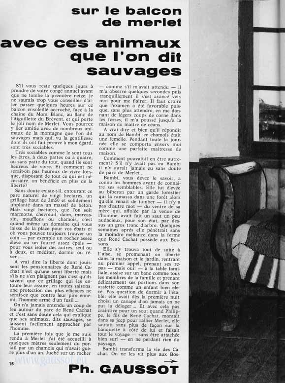 Ski Flash n°33 page 16 Merlet