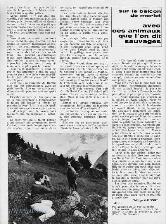 Ski Flash n°33 page 18 Merlet