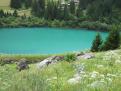 IMG 0470fr